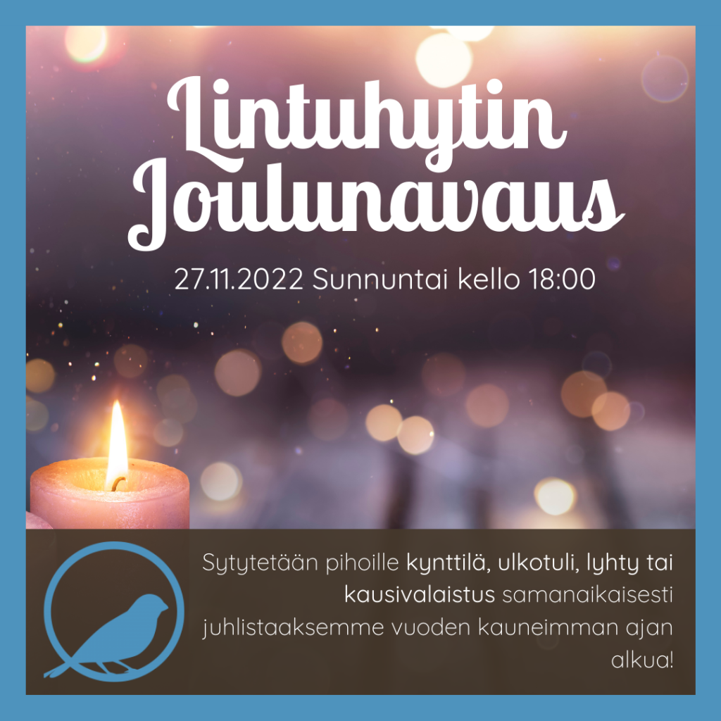 Lintuhytin Joulunavaus 27.11.